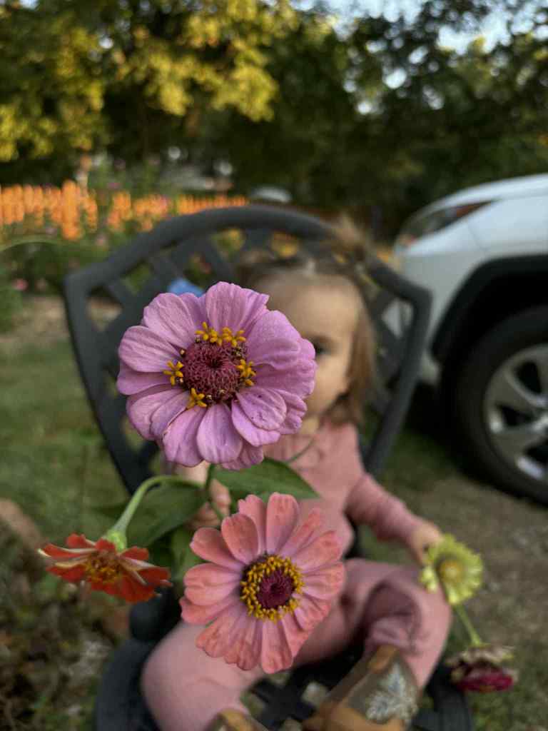 Wisdom hushes me, shutting me up to hear.  If I am willing, it will open me to see and to learn with this Zinnia Princess.  